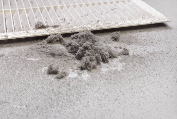 Best Commercial Air Duct Cleaning  in Kingsley, MI